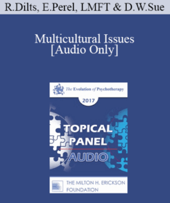 [Audio] EP17 Topical Panel 02 - Multicultural Issues - Robert Dilts