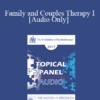 [Audio] EP17 Topical Panel 03 - Family and Couples Therapy I - Harville Hendrix