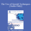 [Audio] EP85 Clinical Presentation 19 - The Use of Gestalt Techniques: A Supervision Session - Miriam Polster