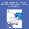 [Audio] EP85 Invited Address 06a - Going Behind the Obvious - The Psychotherapeutic Journey - Virginia M. Satir