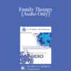 [Audio] EP85 Workshop 17 - Family Therapy - Salvador Minuchin