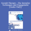 [Audio] EP85 Workshop 27 - Gestalt Therapy - The Interplay Techniques and Engagement - Erving Polster