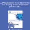 [Audio] EP85 Workshop 29 - A Demonstration of the Therapeutic Use of Deep Trance Phenomena - Ernest L. Rossi