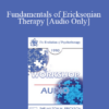 [Audio] EP90 Workshop 33 - Fundamentals of Ericksonian Therapy - Jeffrey Zeig