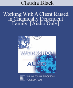 [Audio] EP95 WS13 - Working With A Client Raised in Chemically Dependent Family - Claudia Black