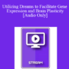 [Audio] IC04 Clinical Demonstration 05 - Utilizing Dreams to Facilitate Gene Expression and Brain Plasticity - Ernest Rossi