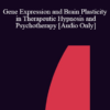 [Audio] IC04 Keynote 02 - Gene Expression and Brain Plasticity in Therapeutic Hypnosis and Psychotherapy - Ernest Rossi