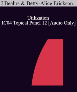 [Audio] IC04 Topical Panel 12 - Utilization - John Beahrs