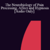 [Audio] IC04 Workshop 12 - The Neurobiology of Pain Processing