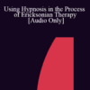 [Audio] IC04 Workshop 64 - Using Hypnosis in the Process of Ericksonian Therapy - Jeffrey Zeig