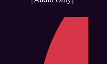 [Audio] IC07 Law & Ethics 02 - Law & Ethics Workshop 2 - Steven Frankel