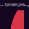 [Audio] IC07 Topical Panel 03 - Hypnosis in Brief Therapy - Douglas Flemons