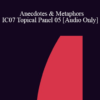 [Audio] IC07 Topical Panel 05 - Anecdotes & Metaphors - Steve Andreas