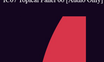 [Audio] IC07 Topical Panel 06 - Utilization - John Beahrs