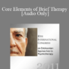 [Audio] IC11 Dialogue 04 - Core Elements of Brief Therapy - Stephen Gilligan