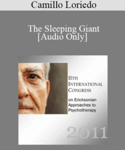 [Audio] IC11 Workshop 05 - The Sleeping Giant: Treating Depression with Individual and Family Hypnosis - Camillo Loriedo