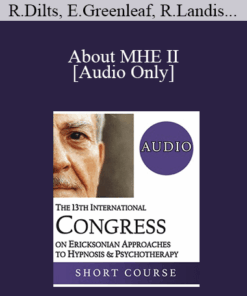 [Audio] IC19 Topical Panel 12 - About MHE II - Robert Dilts