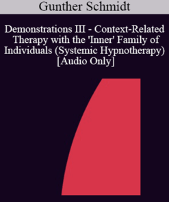 [Audio] IC92 Workshop 41b - Demonstrations III - Context-Related Therapy with the 'Inner' Family of Individuals (Systemic Hypnotherapy) - Gunther Schmidt