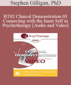 [Audio and Video] BT02 Clinical Demonstration 03 - Connecting with the Inner Self in Psychotherapy - Stephen Gilligan