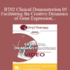 [Audio and Video] BT02 Clinical Demonstration 05 - Facilitating the Creative Dynamics of Gene Expression and Brain Growth - Ernest Rossi