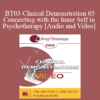 [Audio and Video] BT03 Clinical Demonstration 05 - Connecting with the Inner Self in Psychotherapy - Stephen Gilligan