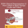 [Audio and Video] BT03 Clinical Demonstration 12 - Pain Control in Brief Therapy - Stephen Lankton