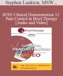 [Audio and Video] BT03 Clinical Demonstration 12 - Pain Control in Brief Therapy - Stephen Lankton