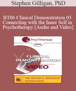 [Audio and Video] BT06 Clinical Demonstration 03 - Connecting with the Inner Self in Psychotherapy - Stephen Gilligan