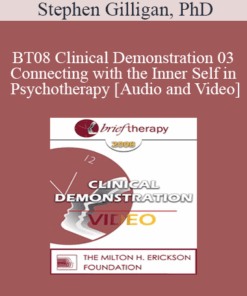 [Audio and Video] BT08 Clinical Demonstration 03 - Connecting with the Inner Self in Psychotherapy - Stephen Gilligan
