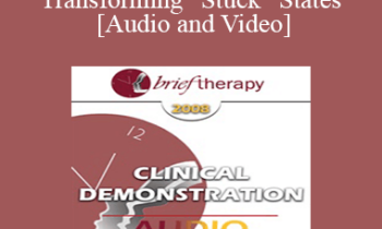 [Audio and Video] BT08 Clinical Demonstration 08 - Transforming “Stuck” States - Robert Dilts