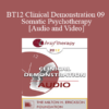 BT12 Clinical Demonstration 09 - Somatic Psychotherapy - Peter Levine