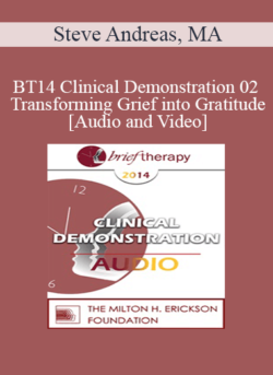 BT14 Clinical Demonstration 02 - Transforming Grief into Gratitude - Steve Andreas