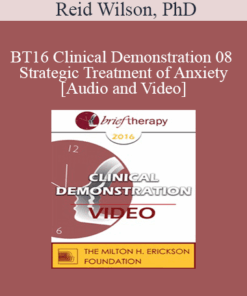 BT16 Clinical Demonstration 08 - Strategic Treatment of Anxiety - Reid Wilson