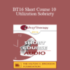 BT16 Short Course 10 - Utilization Sobriety: Incorporating the Essence of Mind-Body Communication for Brief Individualized Substance Abuse Treatment - Bart Walsh