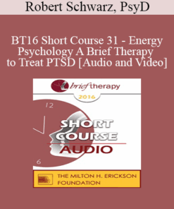 BT16 Short Course 31 - Energy Psychology A Brief Therapy to Treat PTSD - Robert Schwarz