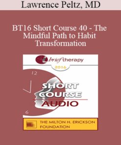 BT16 Short Course 40 - The Mindful Path to Habit Transformation: A Four Quadrant Model - Lawrence Peltz