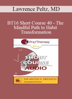 BT16 Short Course 40 - The Mindful Path to Habit Transformation: A Four Quadrant Model - Lawrence Peltz