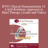 BT93 Clinical Demonstration 14 - A Self-Relations Approach to Brief Therapy - Stephen Gilligan