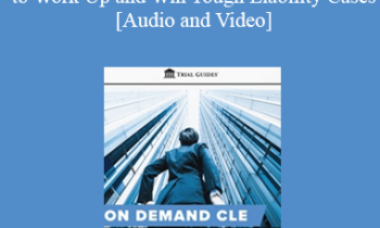 Trial Guides - David vs. Goliath: How to Work Up and Win Tough Liability Cases