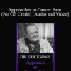 Dr. Erickson's - Approaches to Cancer Pain (No CE Credit)