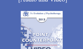EP13 Point/Counter Point 09 - The Palette of the Therapist - Jeffrey Zeig