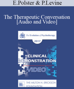 EP17 Clinical Demonstration with Discussant 05 - The Therapeutic Conversation: A Reunion of the Minds - Erving Polster