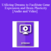 IC04 Clinical Demonstration 05 - Utilizing Dreams to Facilitate Gene Expression and Brain Plasticity - Ernest Rossi