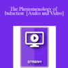 IC07 Fundamentals of Hypnosis 01 - The Phenomenology of Induction - Jeffrey Zeig