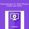 IC92 Workshop 27b - Demonstrations II - Brief Therapy: An Integrative Approach - Lynn Johnson