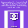 IC92 Workshop 41b - Demonstrations III - Context-Related Therapy with the 'Inner' Family of Individuals (Systemic Hypnotherapy) - Gunther Schmidt