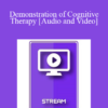 Italian Masters Series - Demonstration of Cognitive Therapy (from the Evolution of Psychotherapy 1995) - Aaron Beck