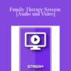 Italian Masters Series - Family Therapy Session - Virginia Satir