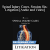 Trial Guides - Spinal Injury Cases