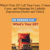 Trial Guides - What's Your 20? Left Turn Cases